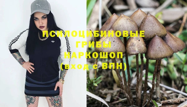дурь Балахна