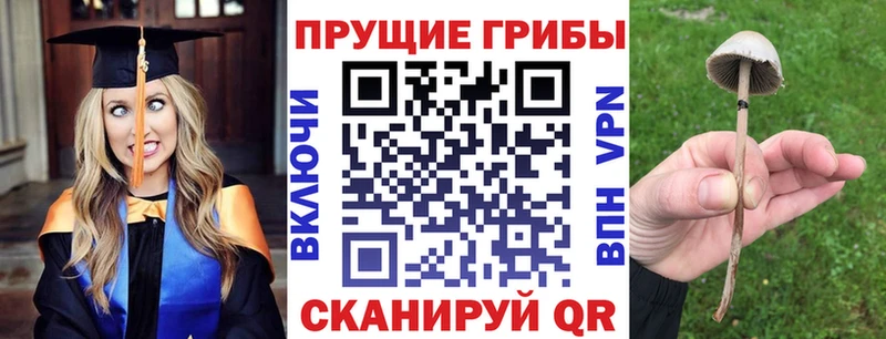 Псилоцибиновые грибы MAGIC MUSHROOMS  Купить закладки  Гатчина 
